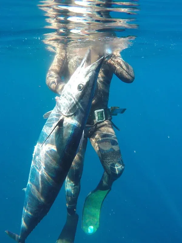 Spearfishing