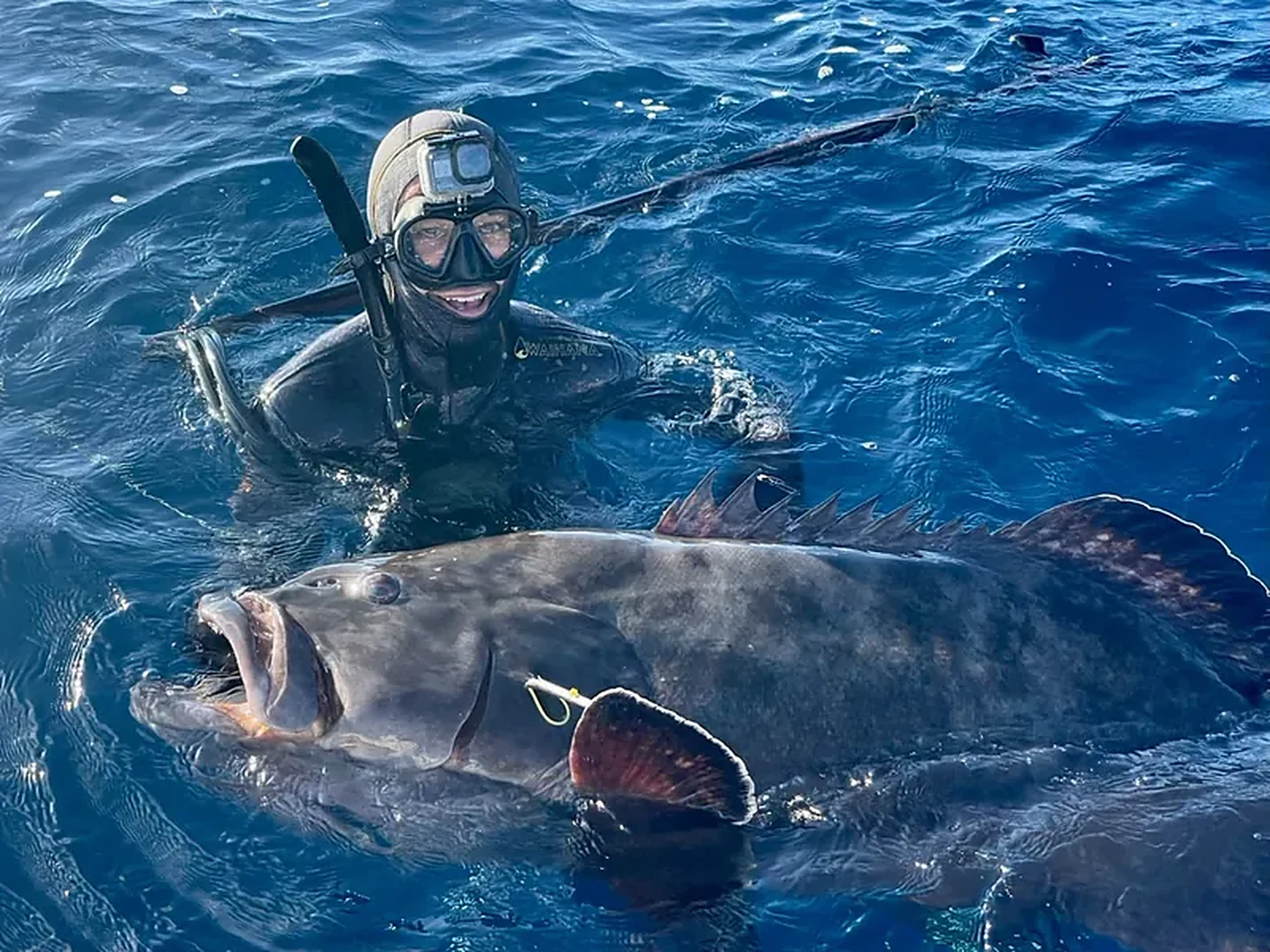Spearfishing