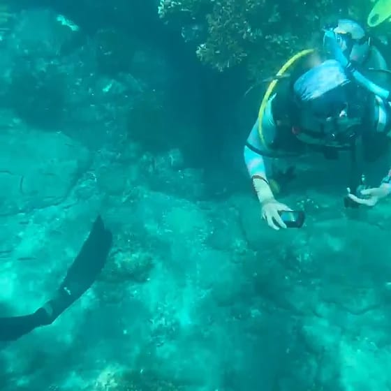 Scuba Diving 1