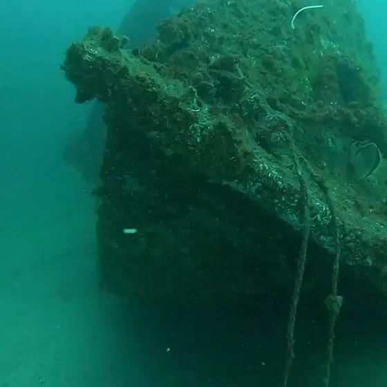 Scuba Diving 3