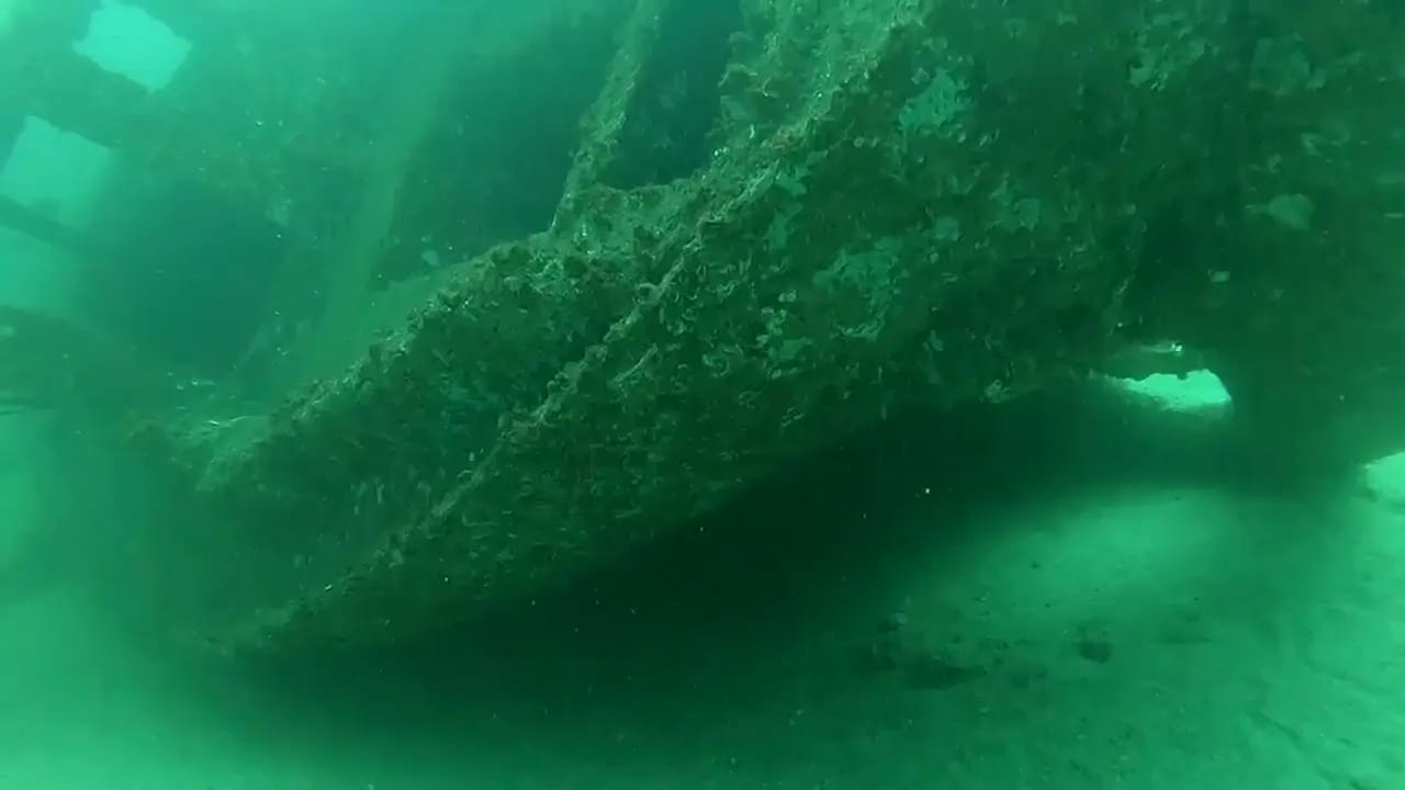 Scuba Diving 5