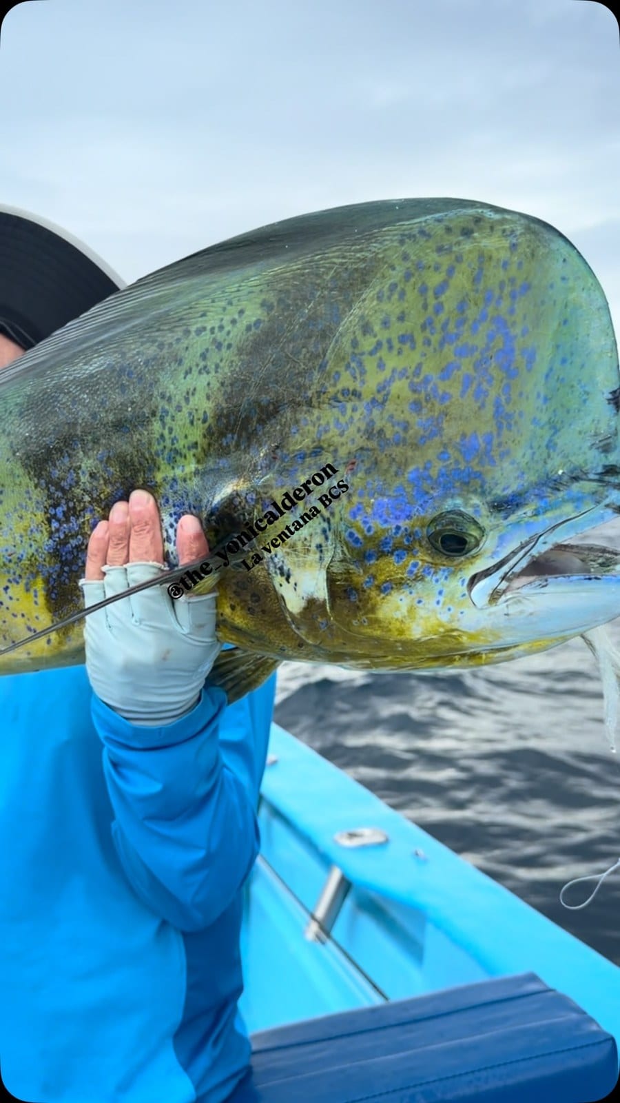 Fly Fishing 2