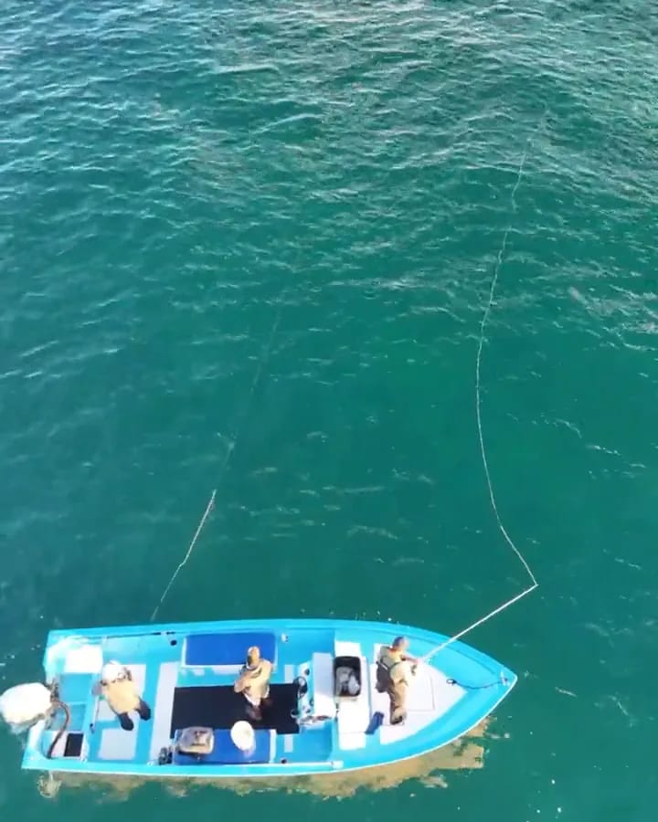Fly Fishing 4